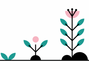 Flowers growing up - Lessons